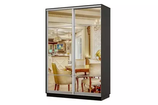 Шкаф-купе 2-дверный Практик 04