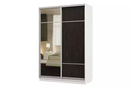 Шкаф-купе 2-дверный Практик 04