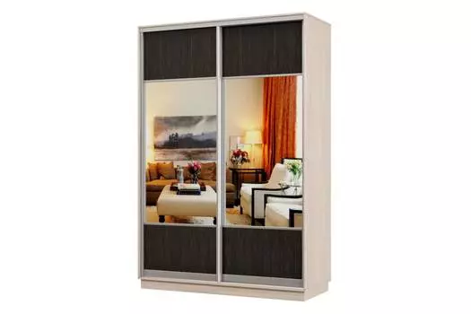 Шкаф-купе 2-дверный Практик 04