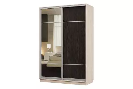 Шкаф-купе 2-дверный Практик 04