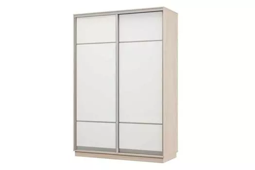 Шкаф-купе 2-дверный Практик 04