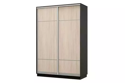 Шкаф-купе 2-дверный Практик 04