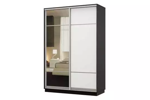 Шкаф-купе 2-дверный Практик 04