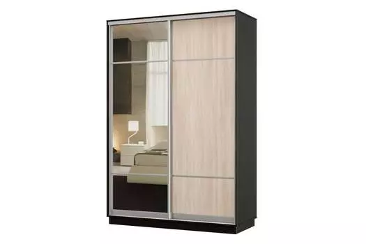 Шкаф-купе 2-дверный Практик 04