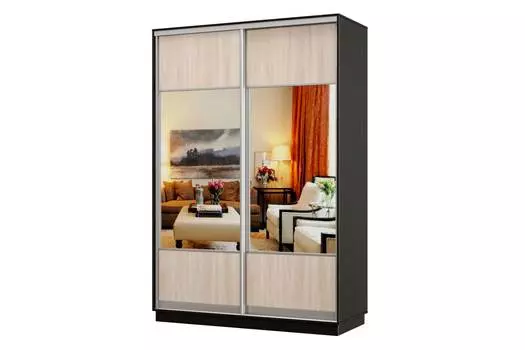 Шкаф-купе 2-дверный Практик 04