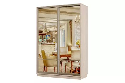 Шкаф-купе 2-дверный Практик 04