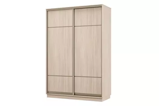 Шкаф-купе 2-дверный Практик 04