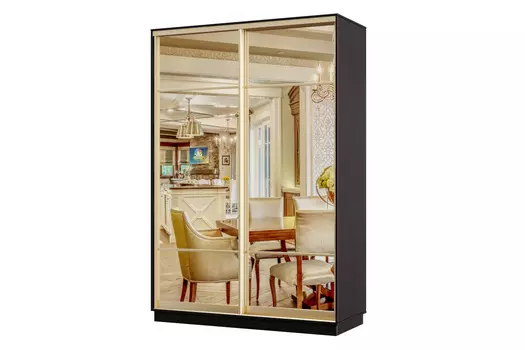 Шкаф-купе 2-дверный Практик 04