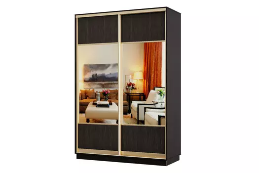 Шкаф-купе 2-дверный Практик 04