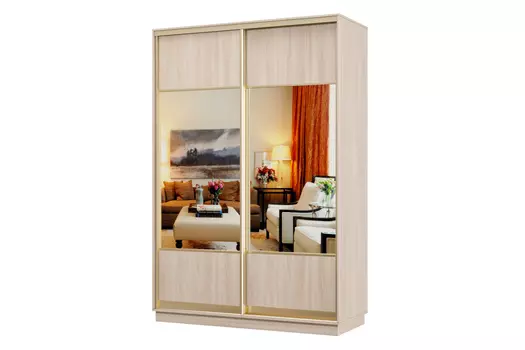 Шкаф-купе 2-дверный Практик 04
