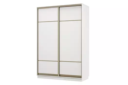 Шкаф-купе 2-дверный Практик 04