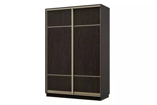 Шкаф-купе 2-дверный Практик 04