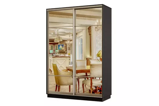 Шкаф-купе 2-дверный Практик 04