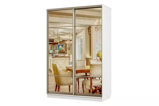 Шкаф-купе 2-дверный Практик 04