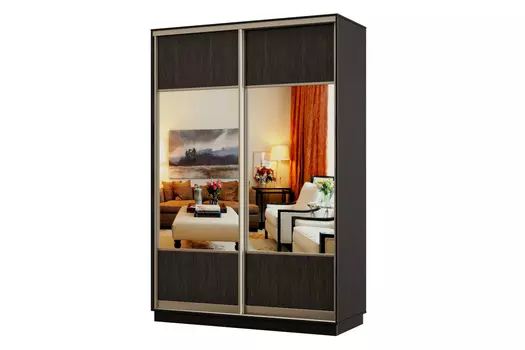 Шкаф-купе 2-дверный Практик 04