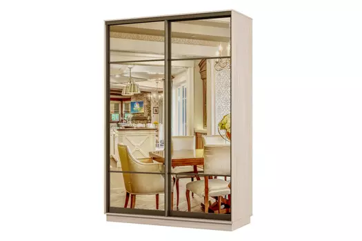 Шкаф-купе 2-дверный Практик 04