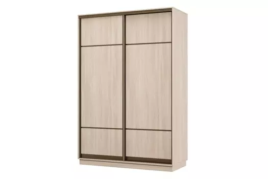 Шкаф-купе 2-дверный Практик 04