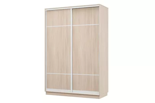 Шкаф-купе 2-дверный Практик 04