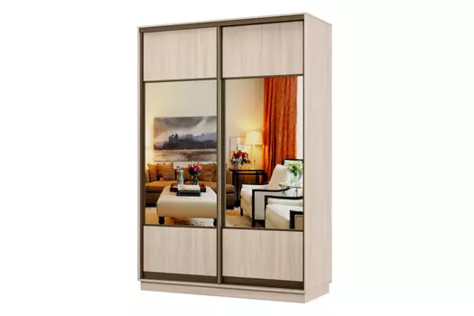 Шкаф-купе 2-дверный Практик 04