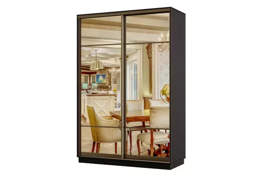 Шкаф-купе 2-дверный Практик 04