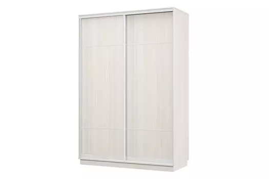 Шкаф-купе 2-дверный Практик 04