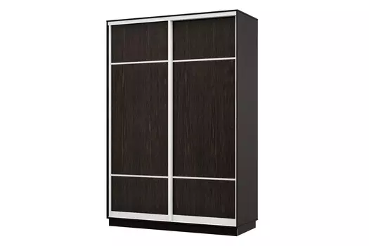 Шкаф-купе 2-дверный Практик 04