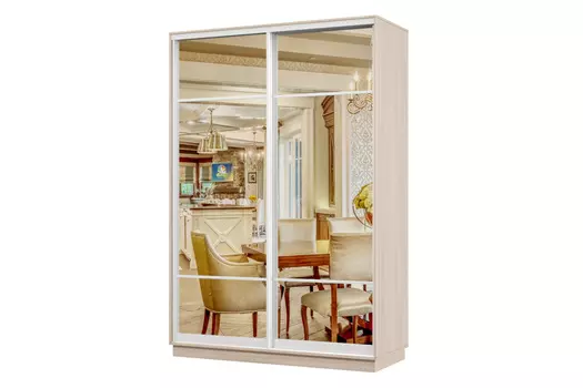 Шкаф-купе 2-дверный Практик 04