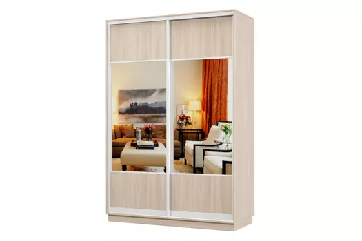 Шкаф-купе 2-дверный Практик 04