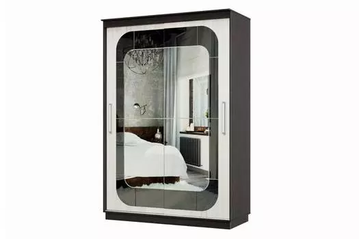 Шкаф-купе 2-дверный Практик 10