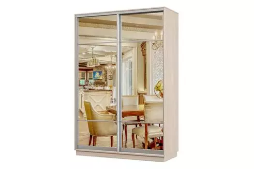 Шкаф-купе 2-дверный Практик 10