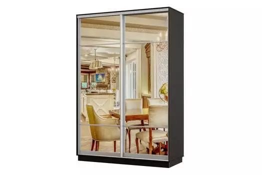 Шкаф-купе 2-дверный Практик 10