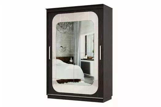 Шкаф-купе 2-дверный Практик 10