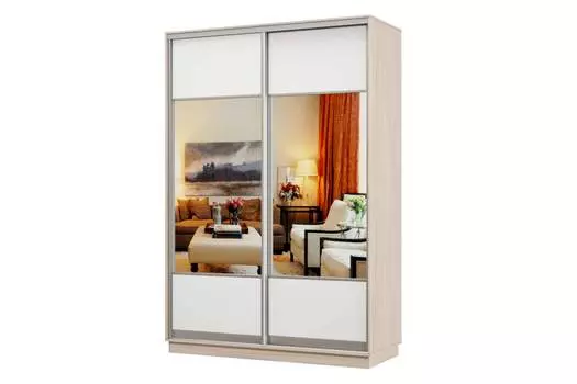 Шкаф-купе 2-дверный Практик 10