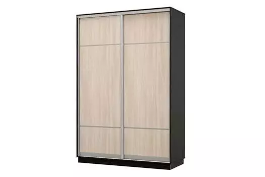 Шкаф-купе 2-дверный Практик 10