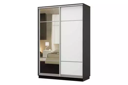 Шкаф-купе 2-дверный Практик 10