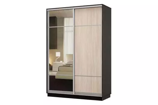 Шкаф-купе 2-дверный Практик 10