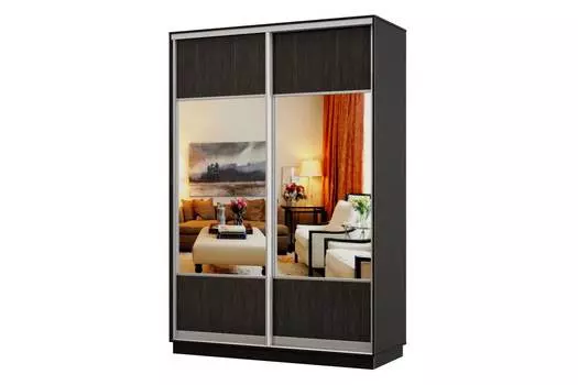 Шкаф-купе 2-дверный Практик 10