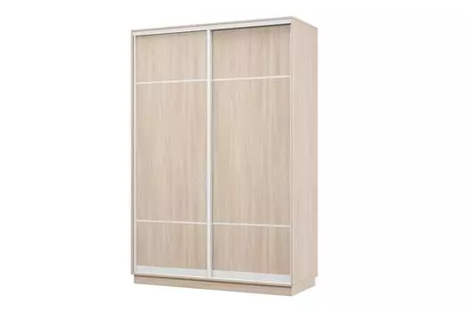Шкаф-купе 2-дверный Практик 10