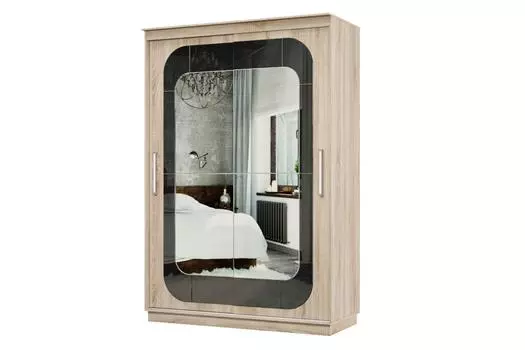 Шкаф-купе 2-дверный Практик 10