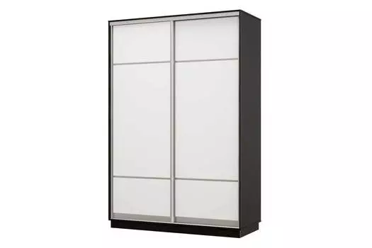 Шкаф-купе 2-дверный Практик 12