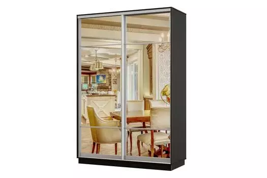 Шкаф-купе 2-дверный Практик 12