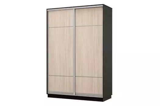 Шкаф-купе 2-дверный Практик 12