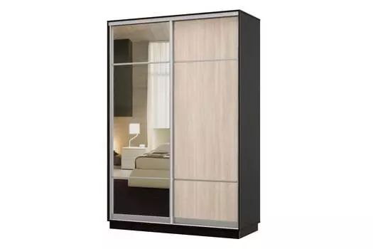 Шкаф-купе 2-дверный Практик 12