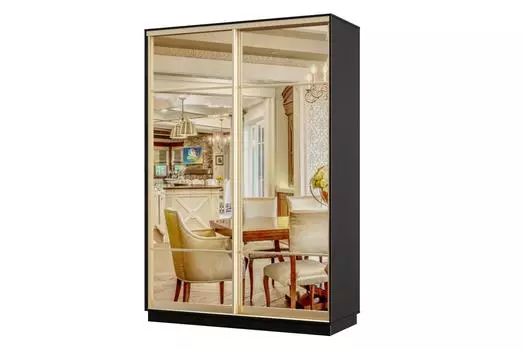 Шкаф-купе 2-дверный Практик 12