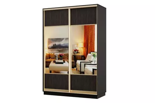 Шкаф-купе 2-дверный Практик 12