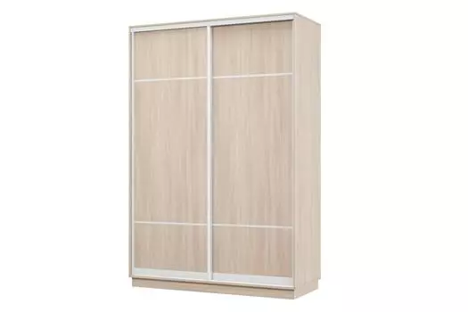 Шкаф-купе 2-дверный Практик 12