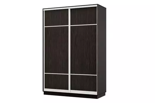 Шкаф-купе 2-дверный Практик 12