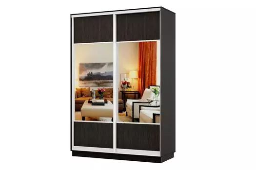 Шкаф-купе 2-дверный Практик 12