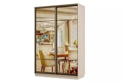 Шкаф-купе 2-дверный Практик 12