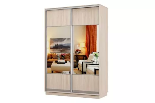 Шкаф-купе 2-дверный Практик